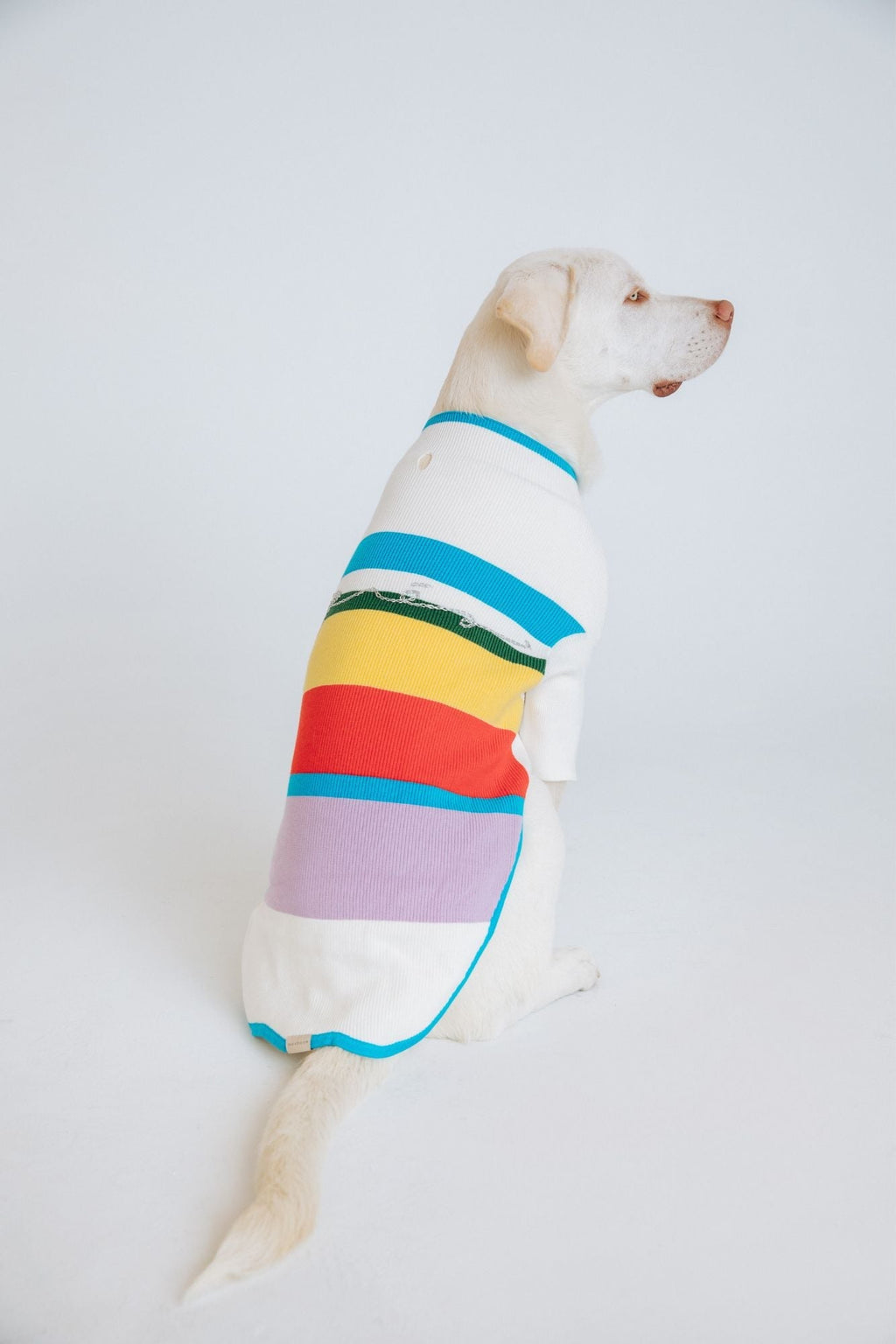 maxbone for Anthropologie Après Jumper