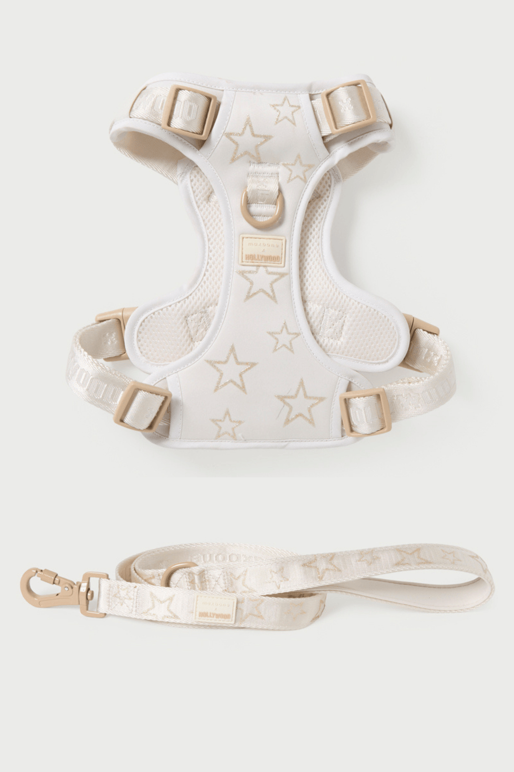 maxbone x Hollywood Walk Set