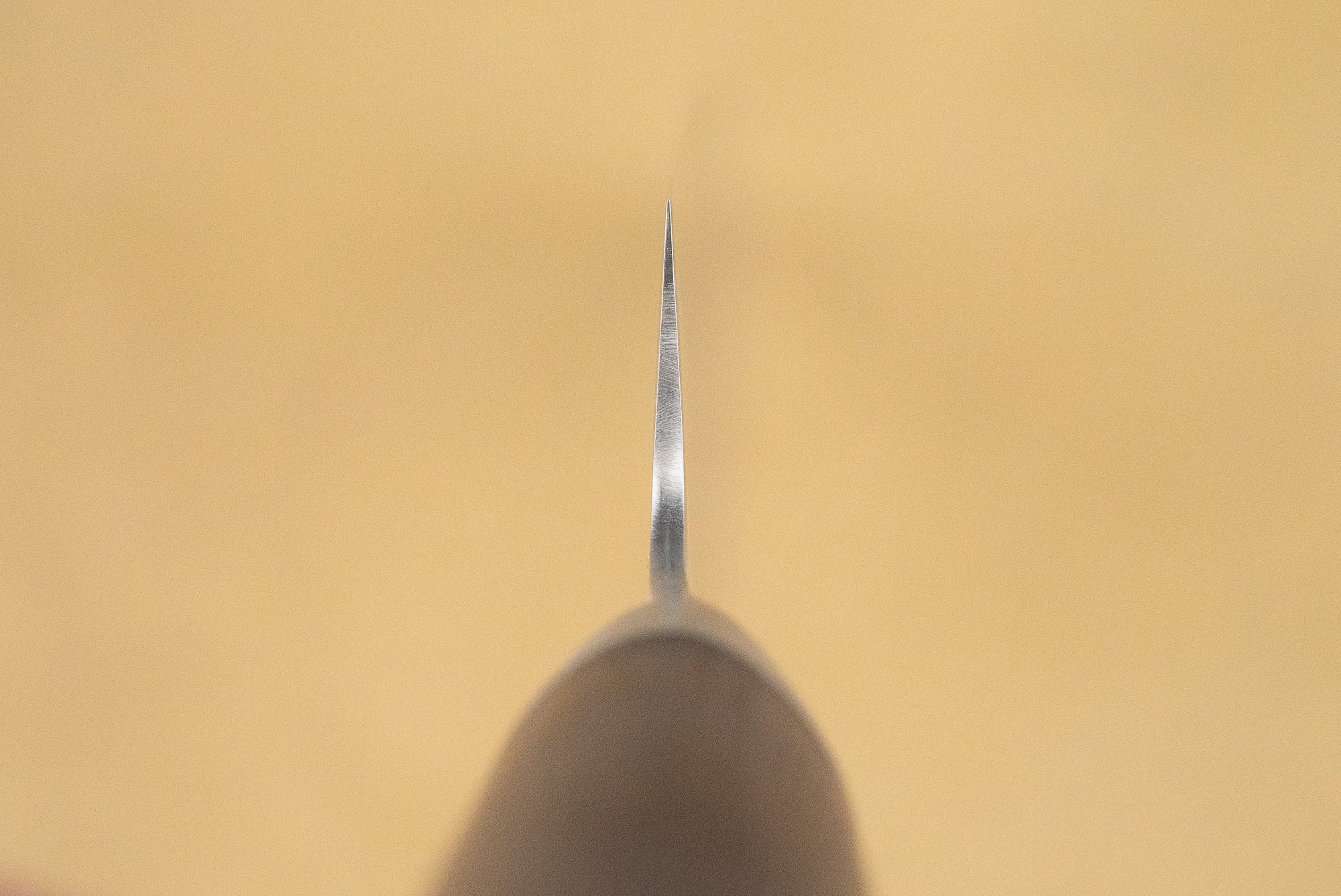 Shizu Hamono Shikisai Miyako Sujihiki 240mm