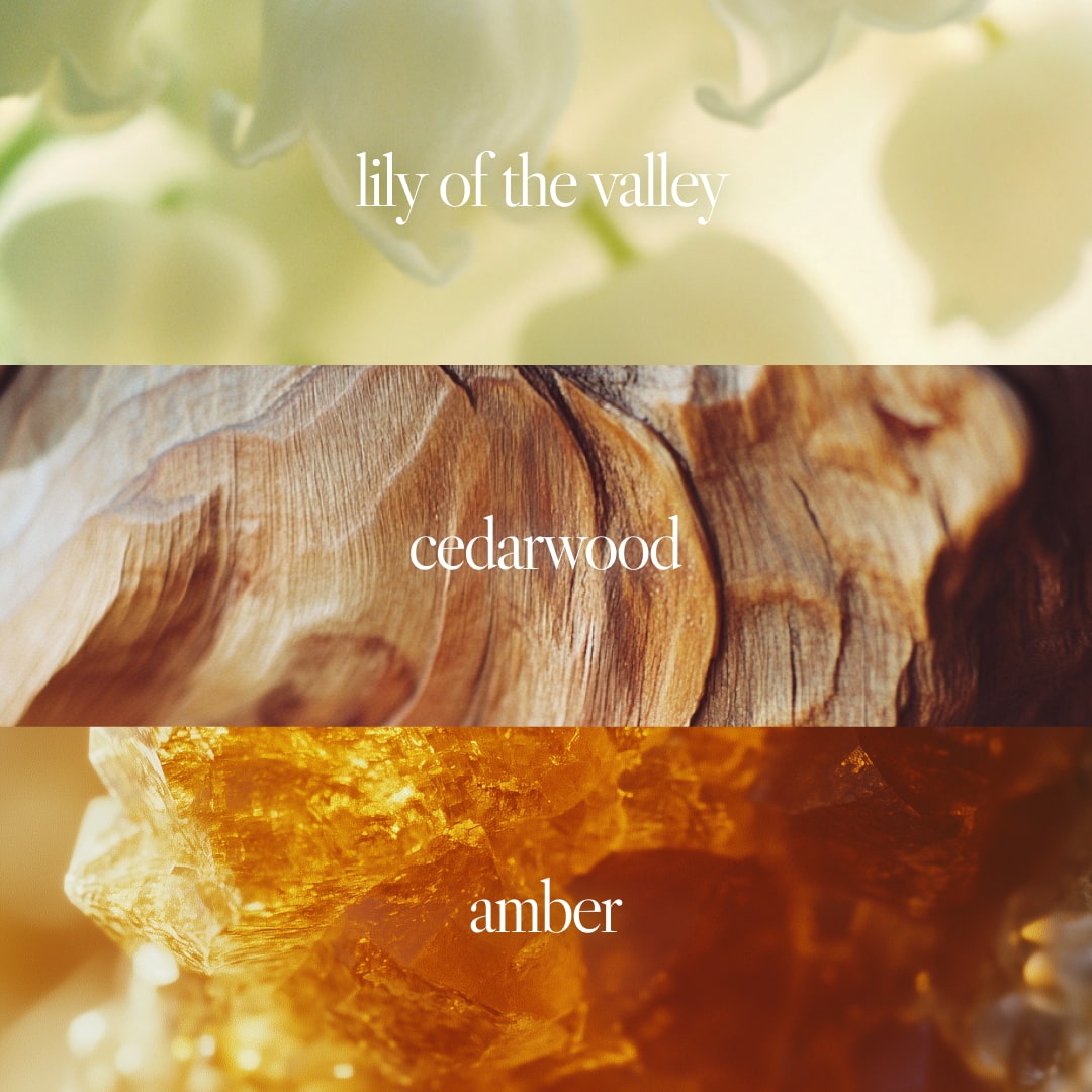Noteworthy n,551 Eau De Parfum | Amber Sunset | Amber, Sandalwood Fragrance