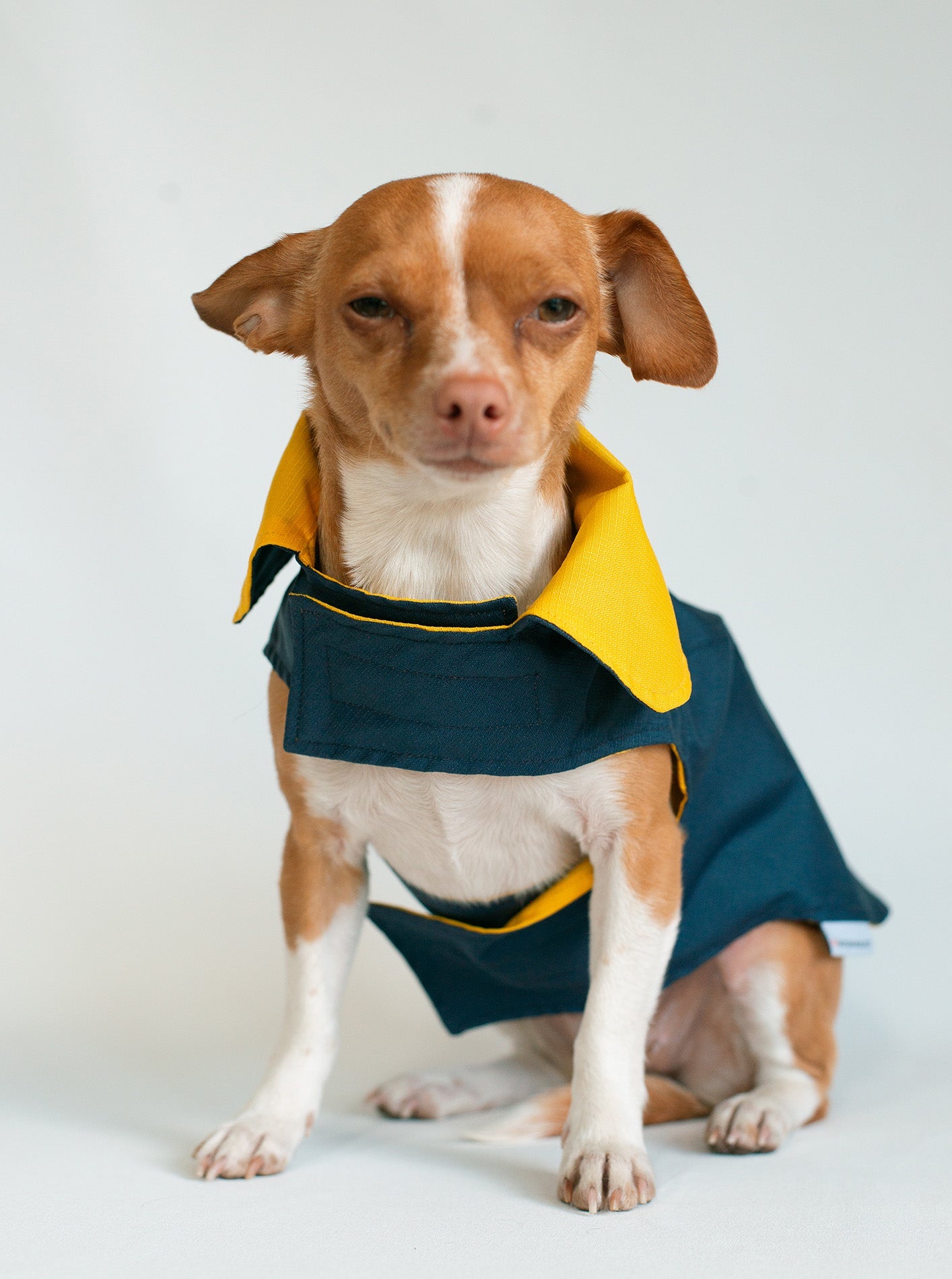 REVERSIBLE DOG RAIN COAT