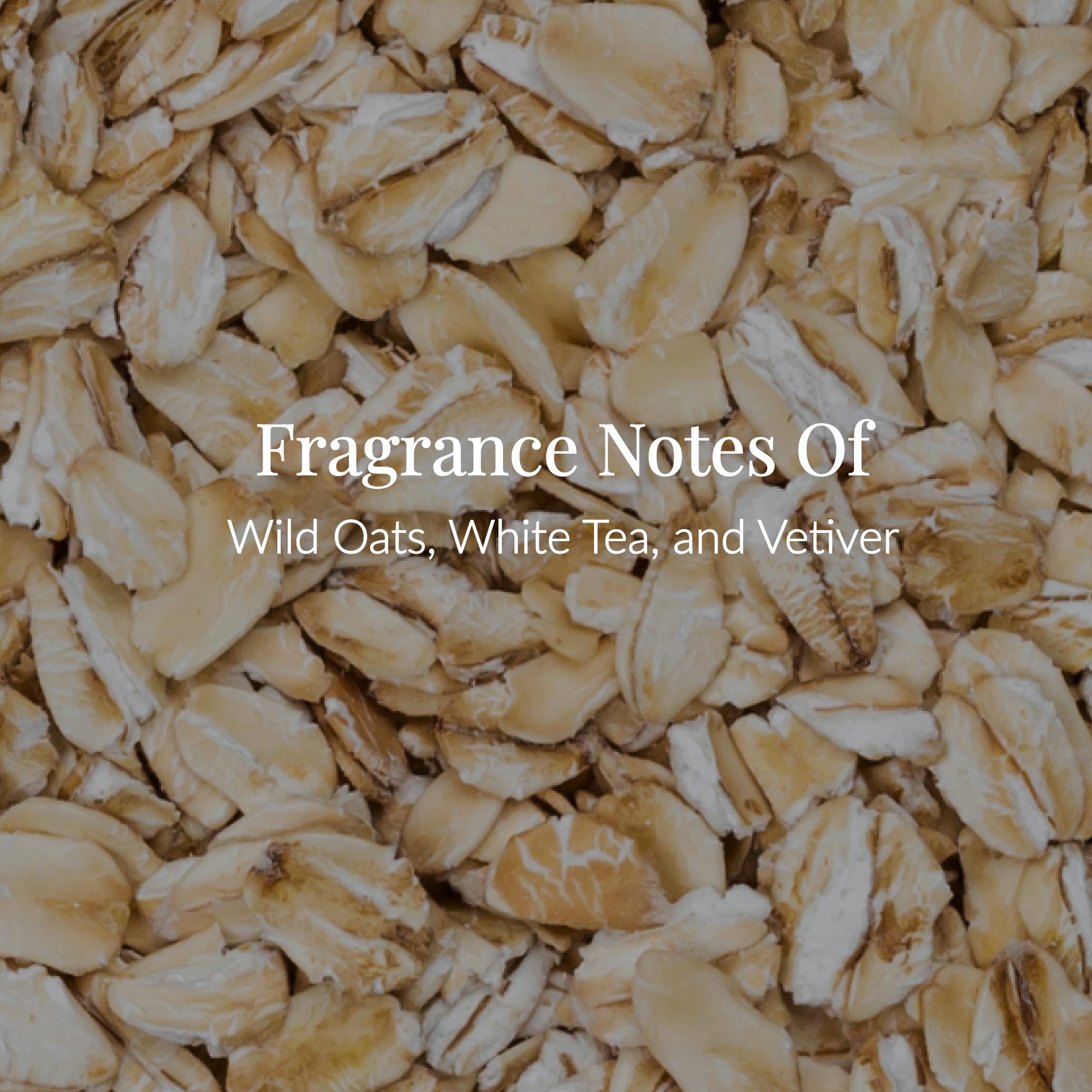 Oat Milk Body Lotion