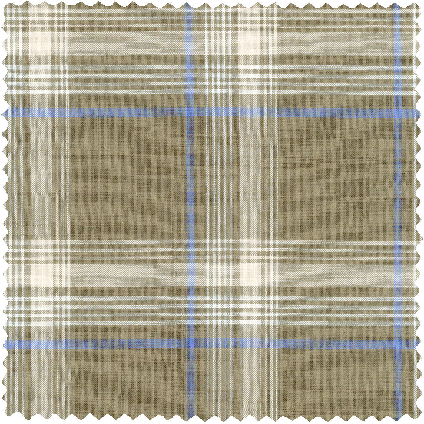 Olive Archive Madras