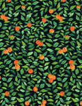 Orange Crush Wallpaper by Nathan Turner