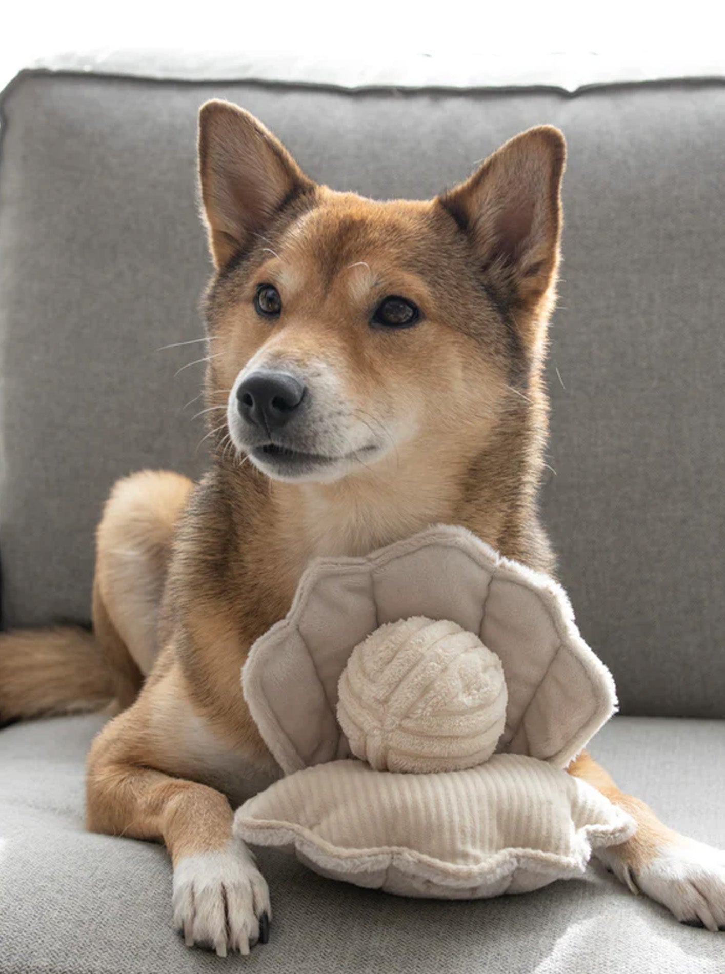 OYSTER POP ENRICHMENT DOG TOY