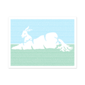 Peter Rabbit