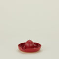 Citrus Juicer - Coral