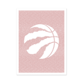 Toronto Raptors