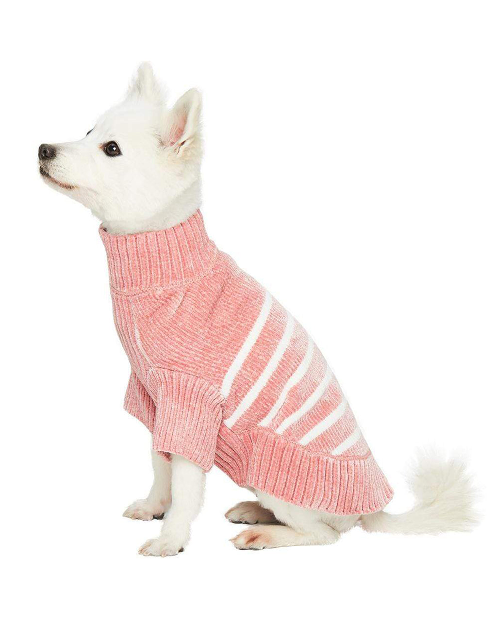 STRIPED SWEATER by Blueberry Pet