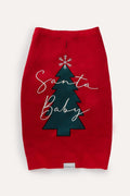 Santa Baby Jumper