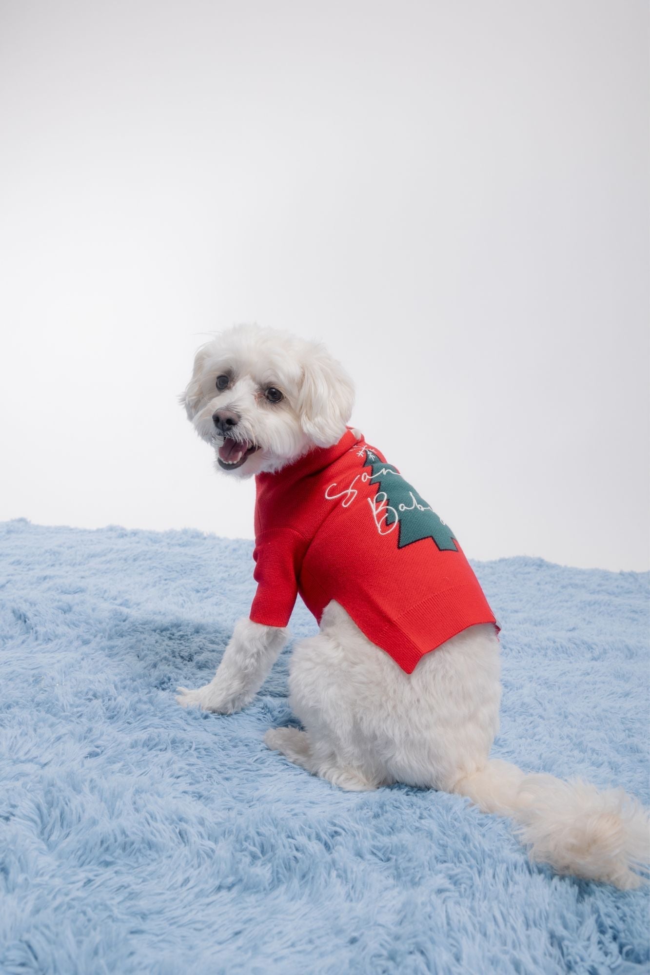 Santa Baby Jumper
