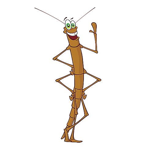 Stick Insect Refill