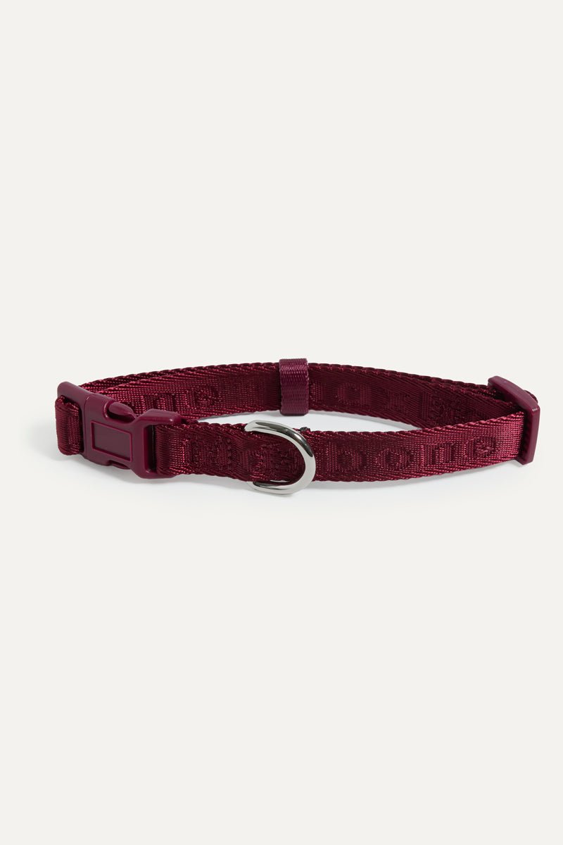 Signature Collar