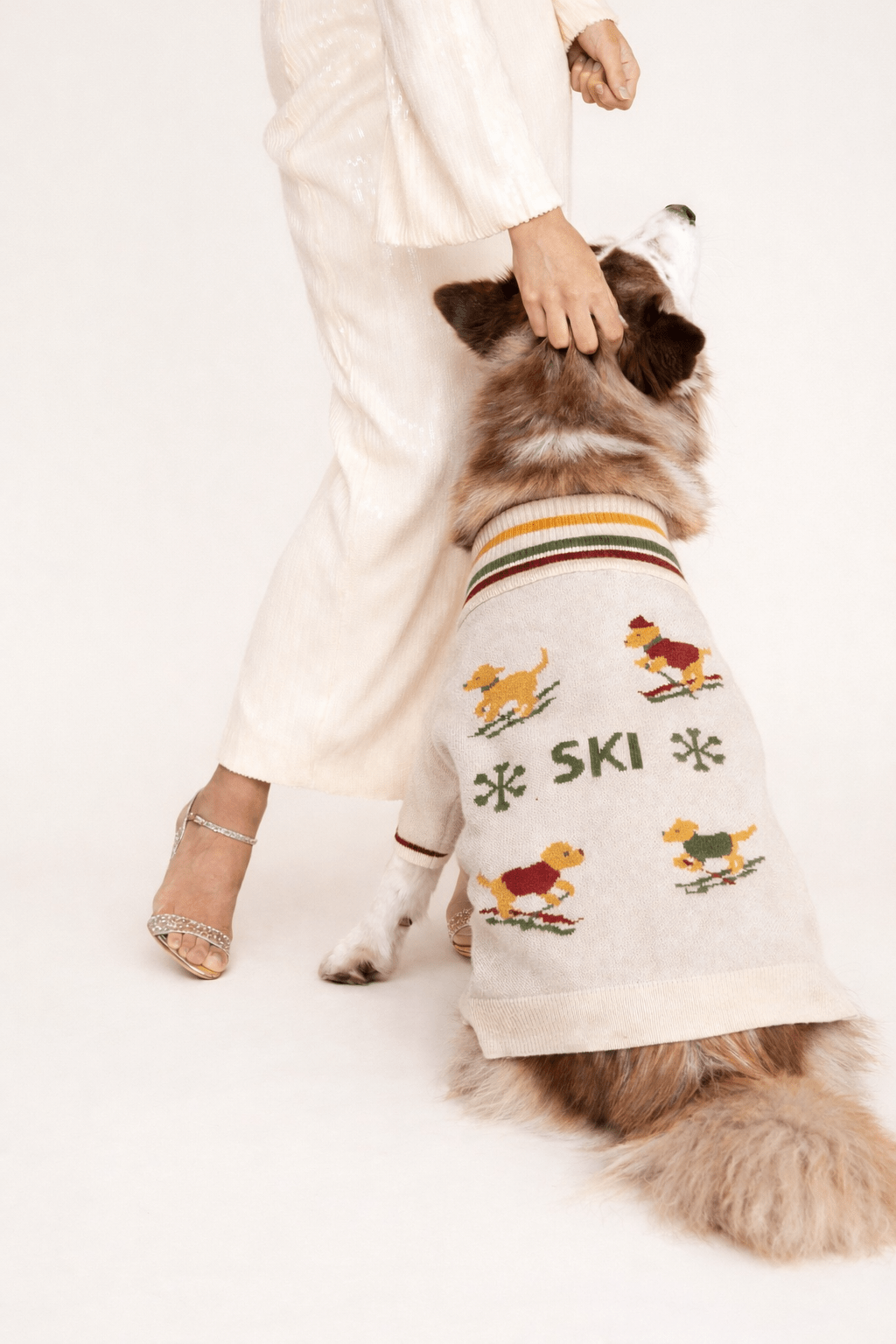 Ski Jumper