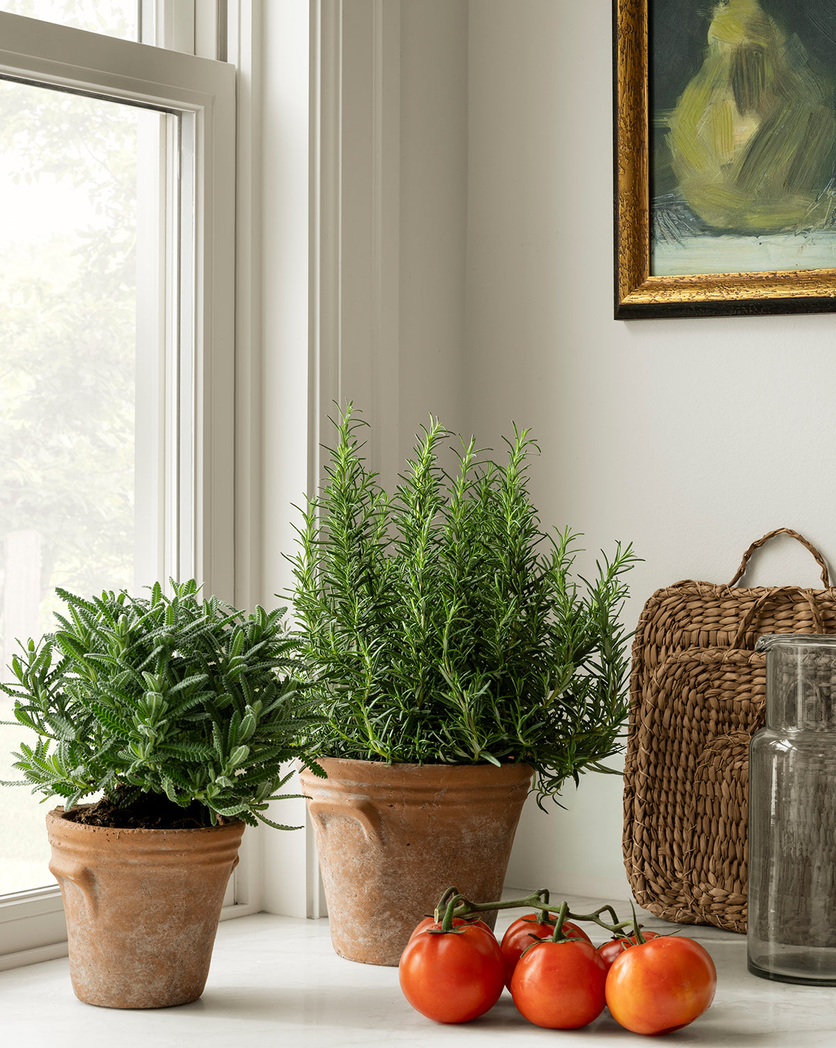 Cordelia Planter