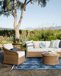 Aldridge Handwoven Indoor/Outdoor Rug