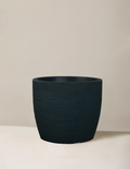 European Round Planter