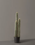 Artificial Floor Cactus