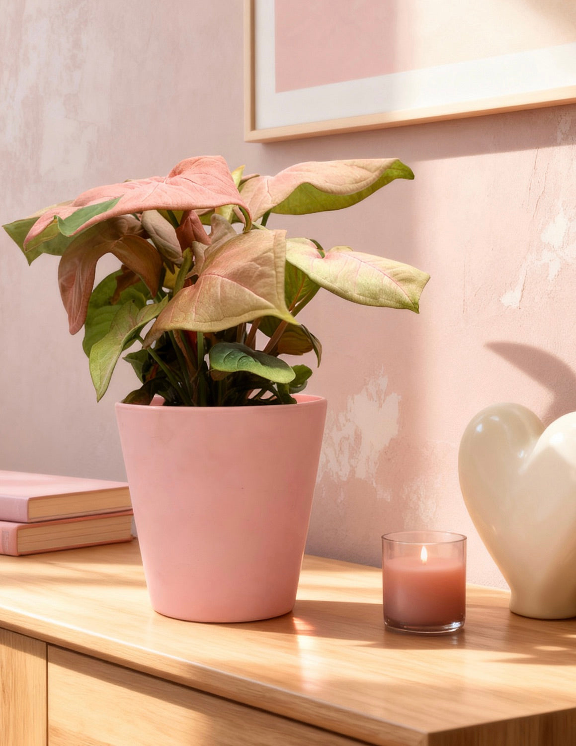 Pink Arrowhead Plant