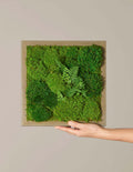 Small Preserved Living Wall