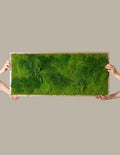 Medium Preserved Living Wall