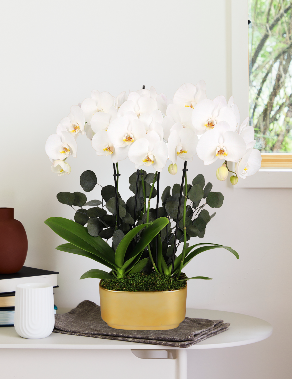 Large Double Orchid
