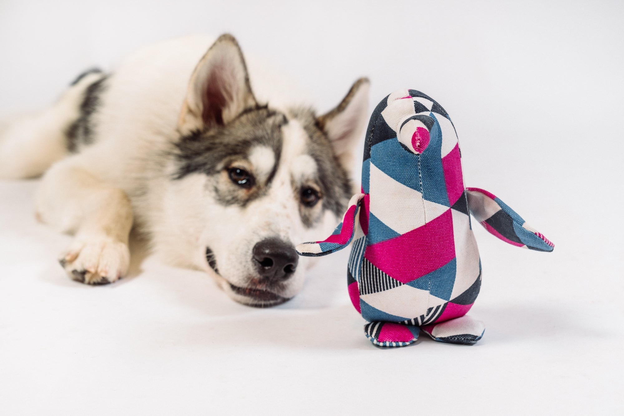 Penguin Pal