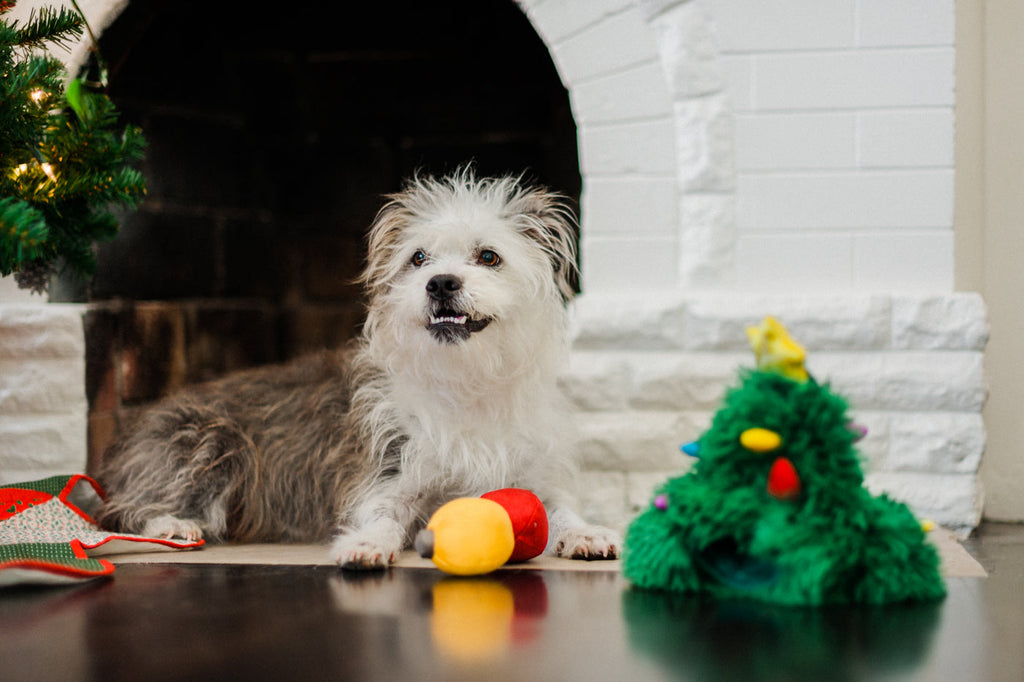 Merry Woofmas Doglas Fur