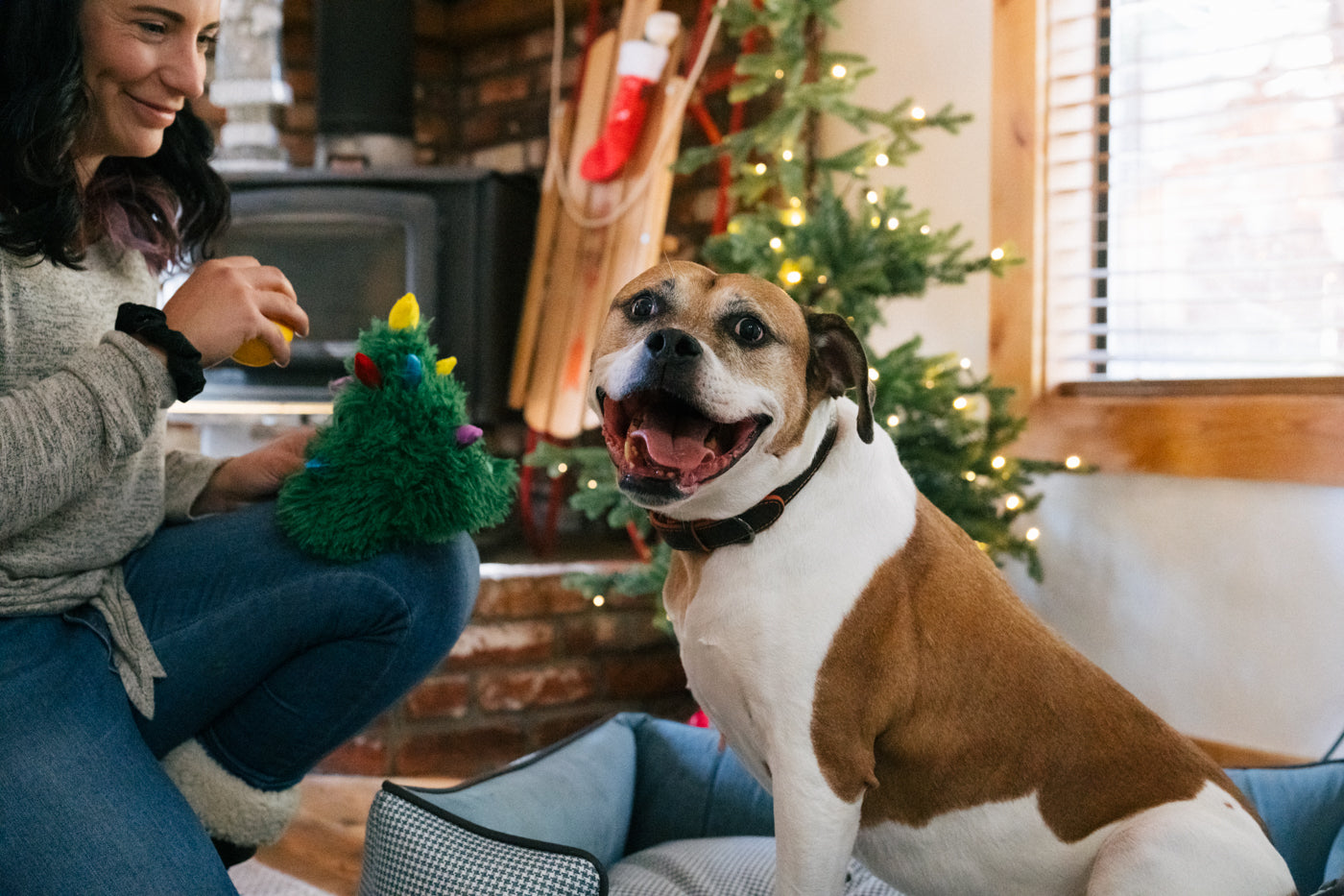 Merry Woofmas Doglas Fur