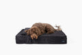 Orthopedic Pet Bed