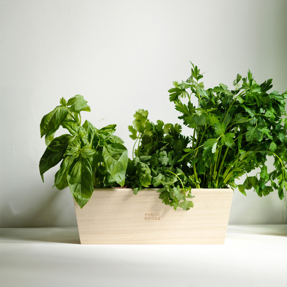Indoor Herb Planter
