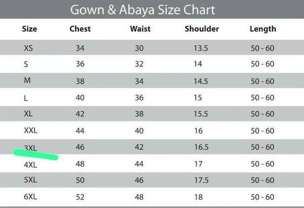 Royal Luxurious Dubai Bedded Diamond Work Abaya 8+ Colors Sizes Available upto 5xl
