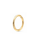 Ziv Simple Hoop Ring Clicker